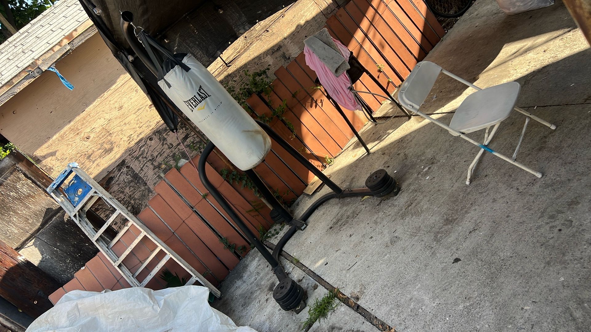 Everlast Punching Bag