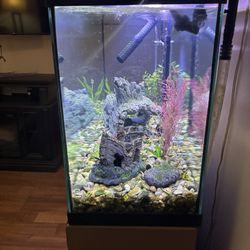 60 Gallons Fish Tank 