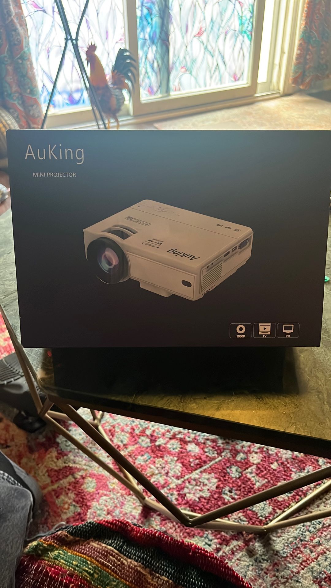 Mini projector