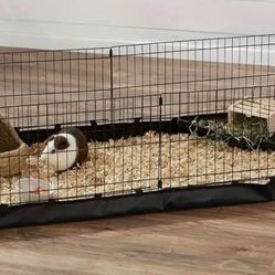 NEW guinea Pig Cage Or Whatever You want To Do With It