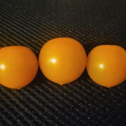 Organic Sun Sugar Tomato Seeds! 2026 SEASON EARLY RELEASE!