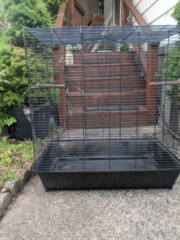 Black Bird Cage