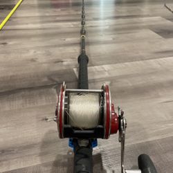 Calstar 665h + Penn 113 H