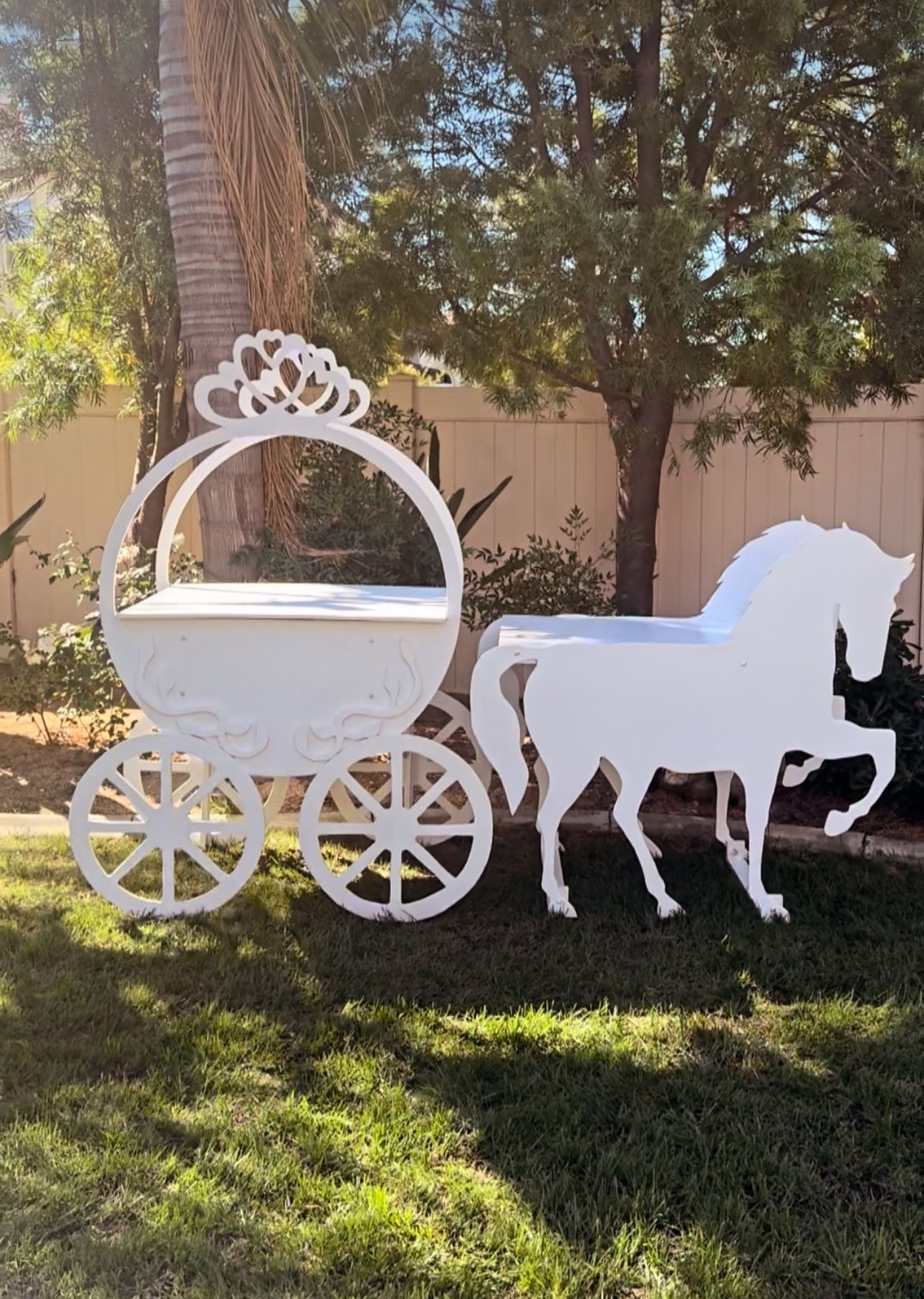 Carriage & horse