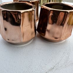 Rose Gold Ceramic Pots 🪴 