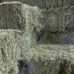 Quality Grass Hay