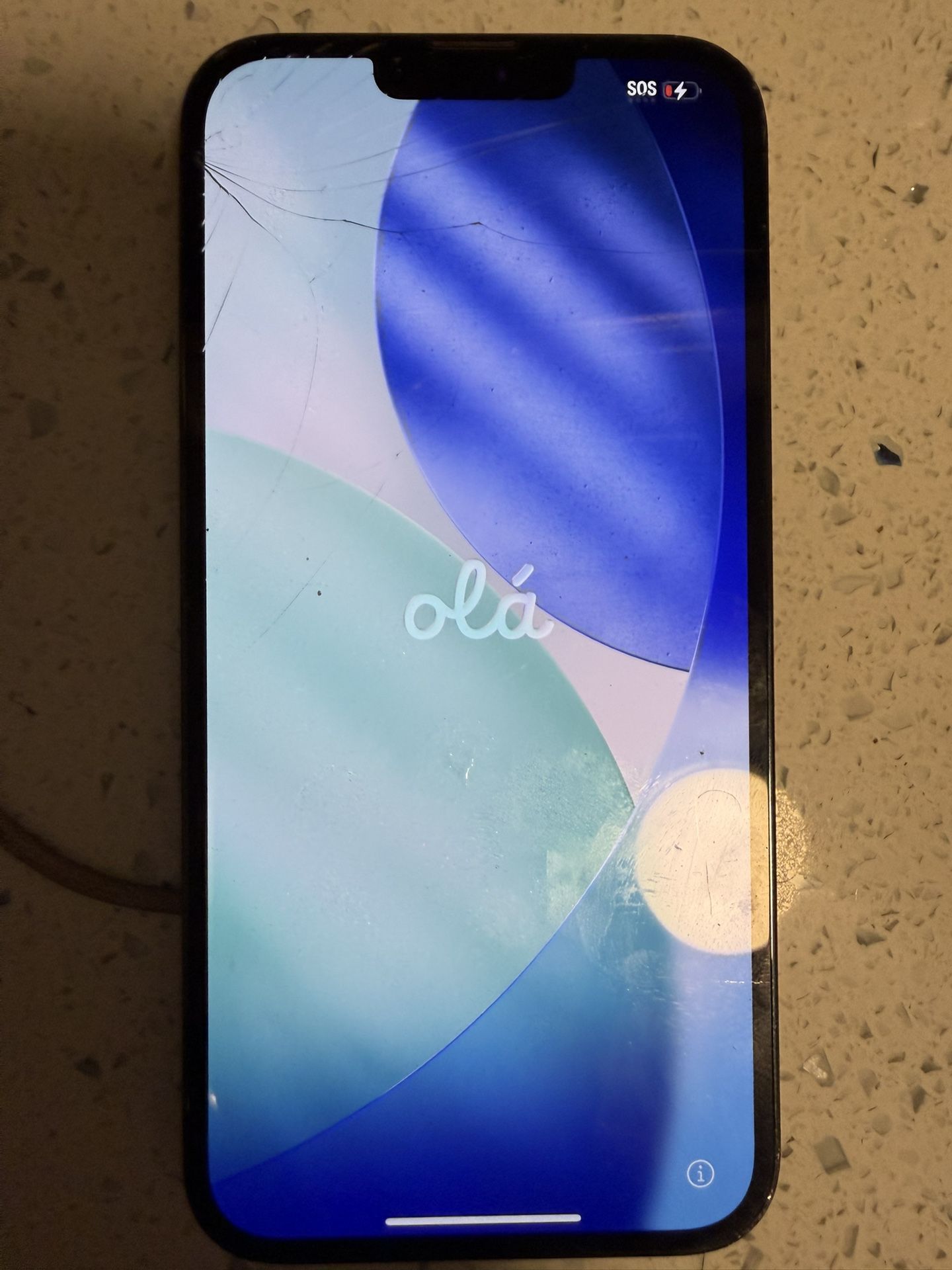 iPhone 13 Pro Max (green)