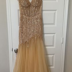 Champagne/ Gold Sequoia Dress 