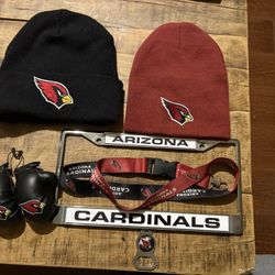 Arizona Cardinals Accessories
