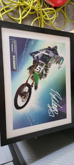 Kawasaki Monster Energy Picture