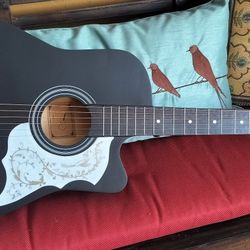 Brand New Full Size Acoustic Guitar With New Bag