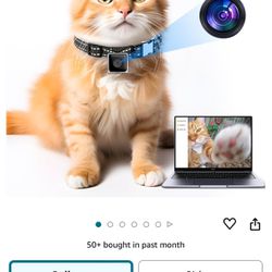 Cat Camera Collar