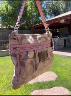 Pink coach poppy