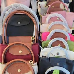 New Pink Mini Longchamp Bag