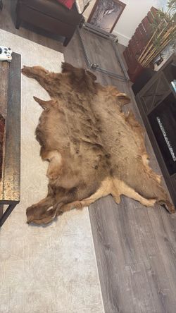 Elk/deer Hides