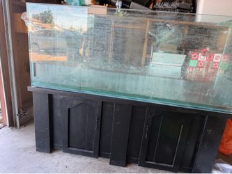 100 gallon fish tank