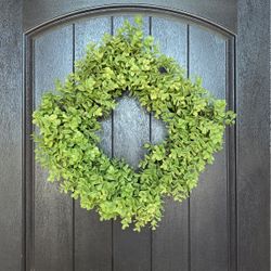 Boxwood Wreath