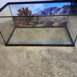 40 Gallon Tank 
