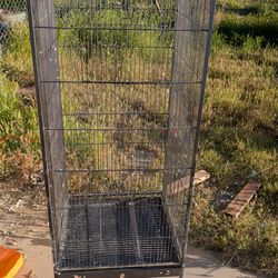 Big bird cage