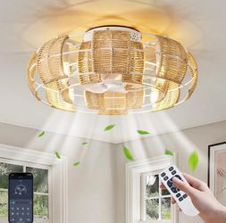 22” Rattan Caged Ceiling Fan w/ Light
