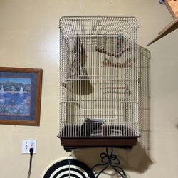 Bird Cage