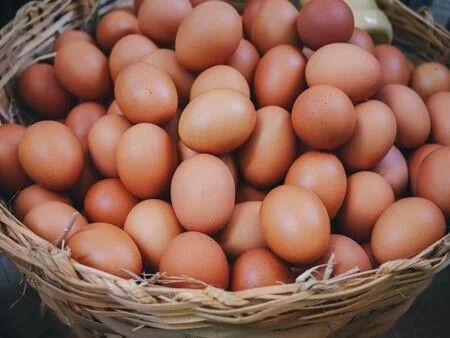 Fresh Eggs+ Chicken Plz Text Don't Call