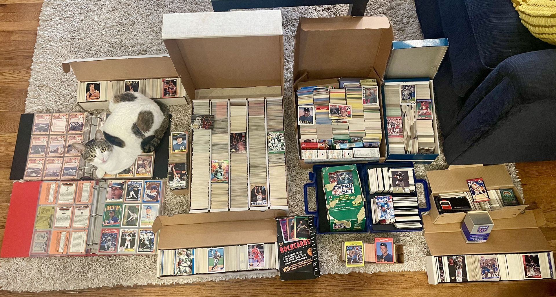 Huge Collection (Thousands) of Sports Cards — Mostly Commons, NBA, NFL, MLB, 80s & 90s