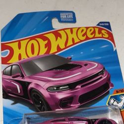 He’ll Cat Hot Wheels 