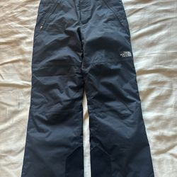 North face Snow Pants