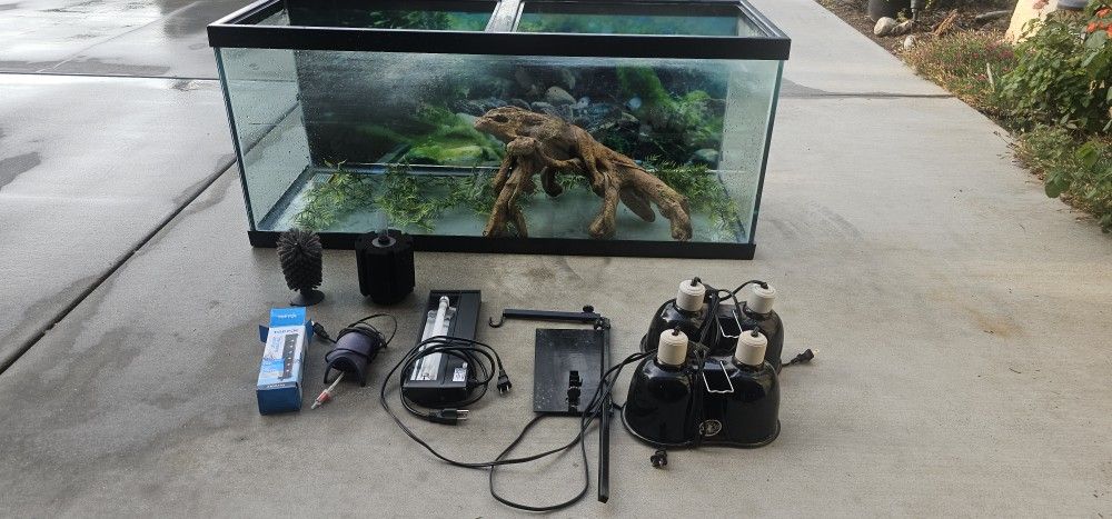 Aquarium Turtle Tank
