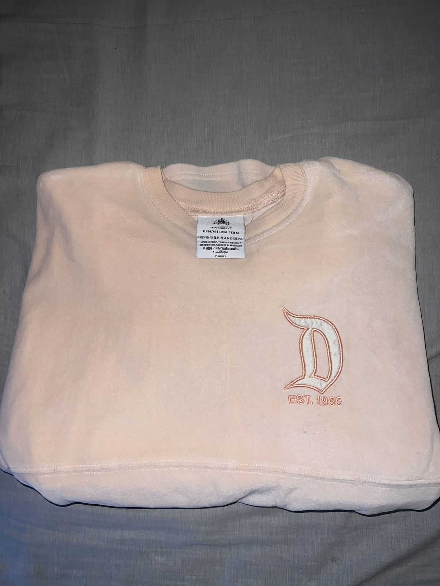Disneyland Spirit Jersey