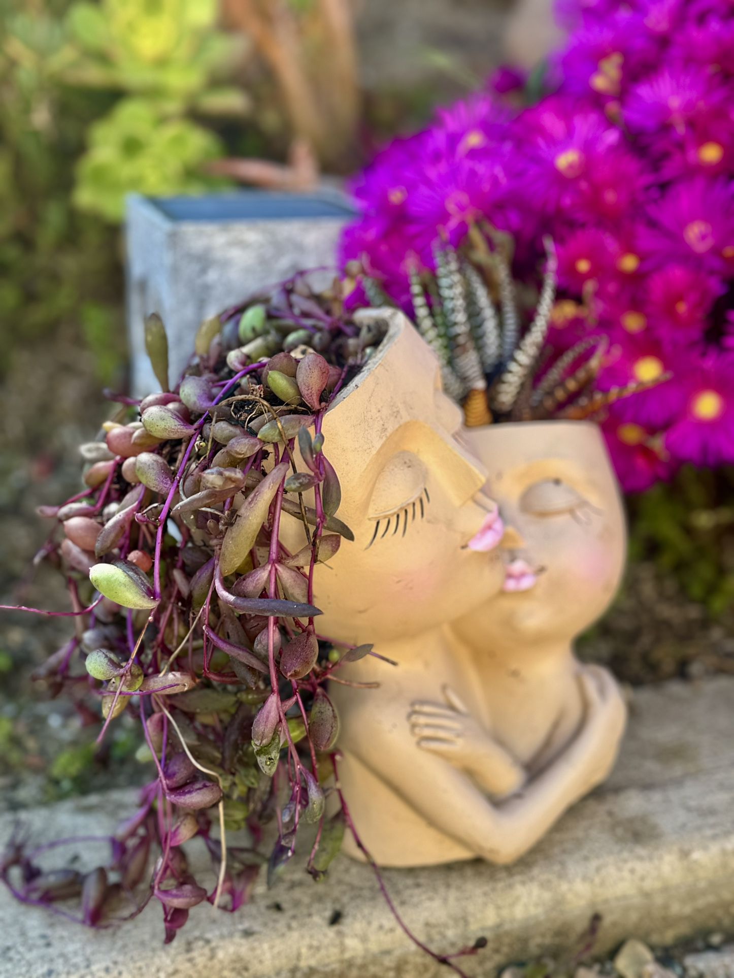 Rare: 👩 👶Mom-Baby Planter With Purple String Of Ruby Succulents 🪴 