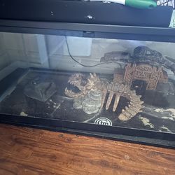 Terrarium Habitat