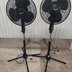 FAN(S/2)