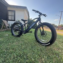 Fat Bike