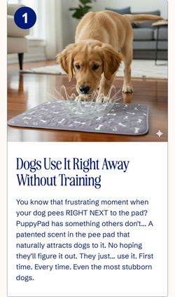Waterproof Reusable Puppy Pee Pad NEW
