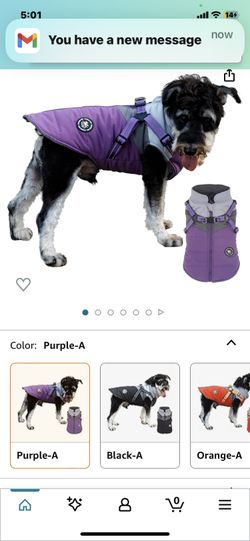 Small Dog Coat