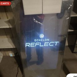 Echelon Reflect sports Touch Fitness Mirror