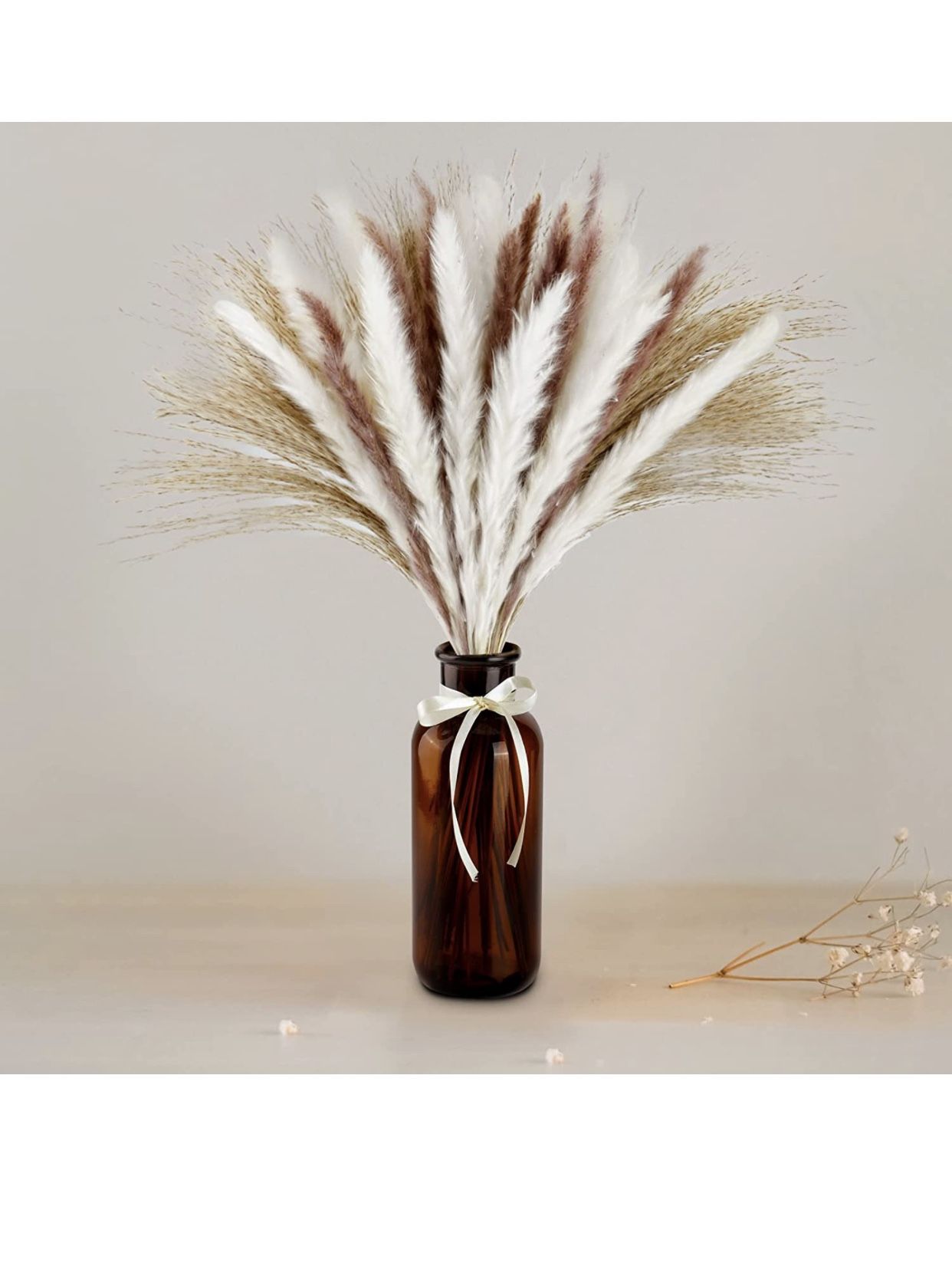 Dried Pampas Grass