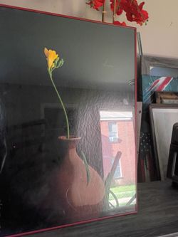 Many pictures