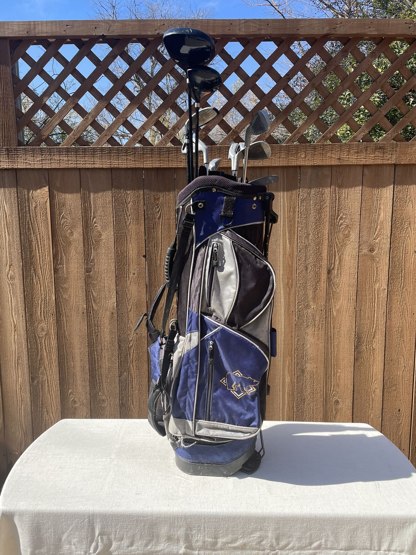 ’s Golf Club Set with Bag Adult Size Right Handed Clubs