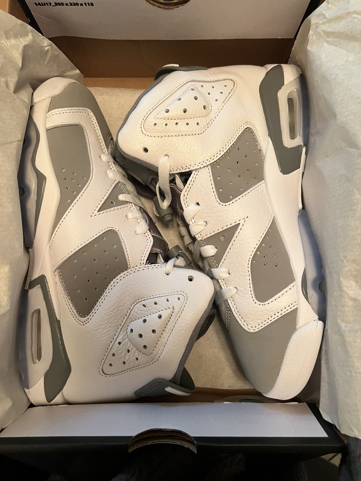 Jordan Cool Grey 6s