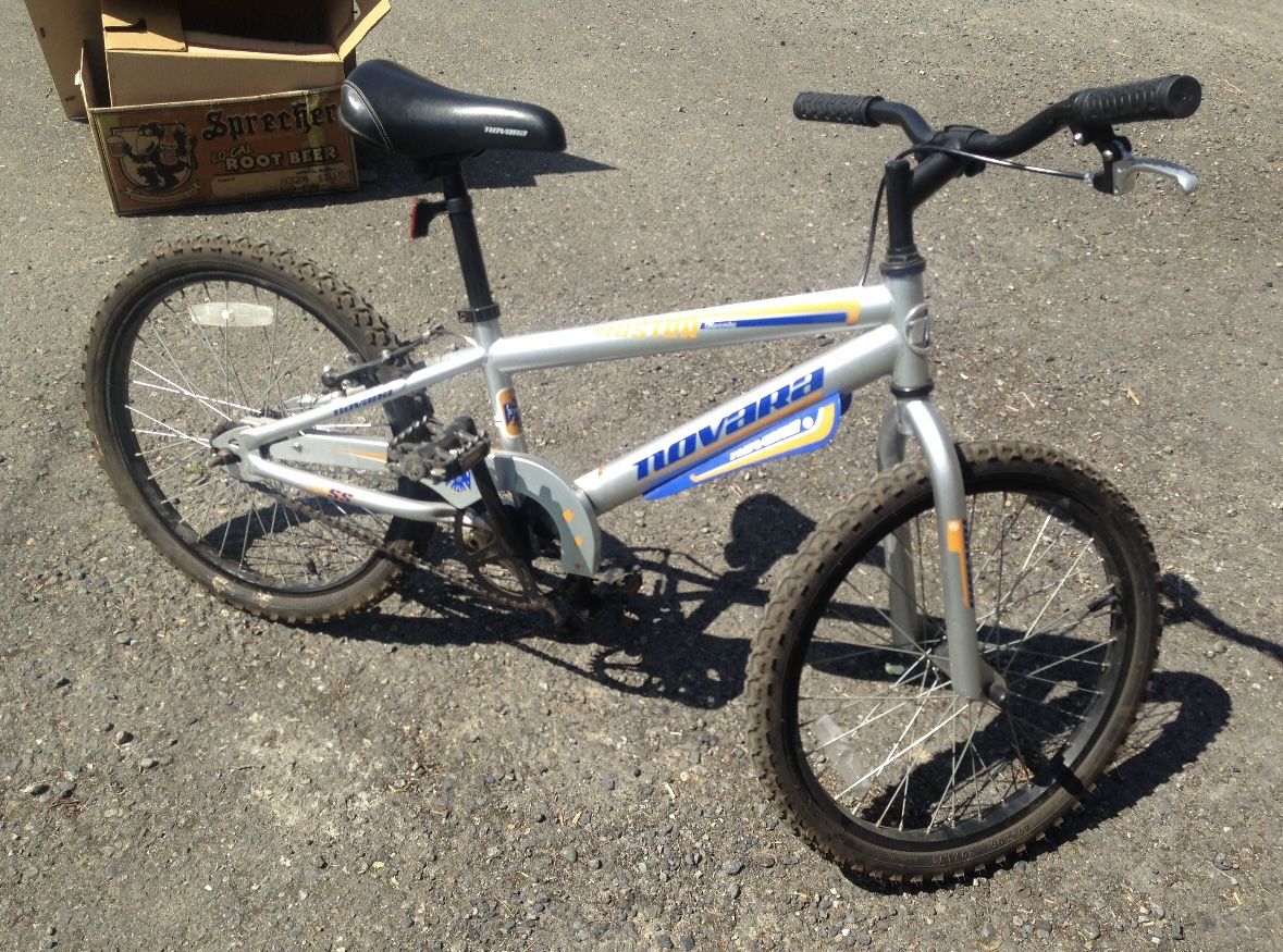 Novara Duster 20” Kids Bike