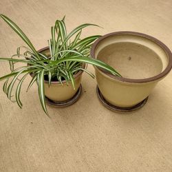 2 Ceramic Flower Pots 6.5 and 9 Inch