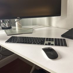 Apple Keyboard & Apple Mouse 