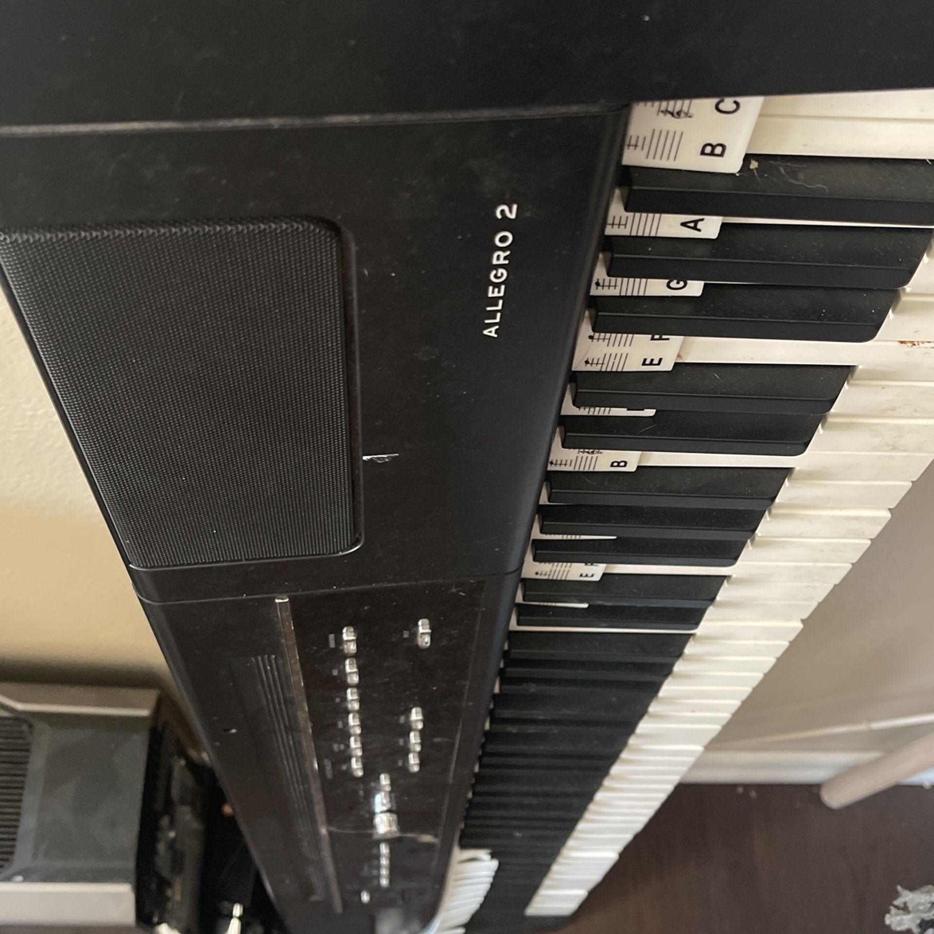 Williams Half Weighted Digital Piano