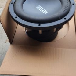 10" Subwoofer