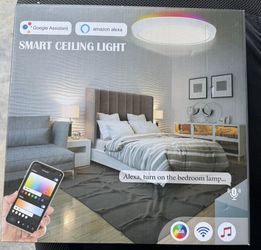 Ceiling Light