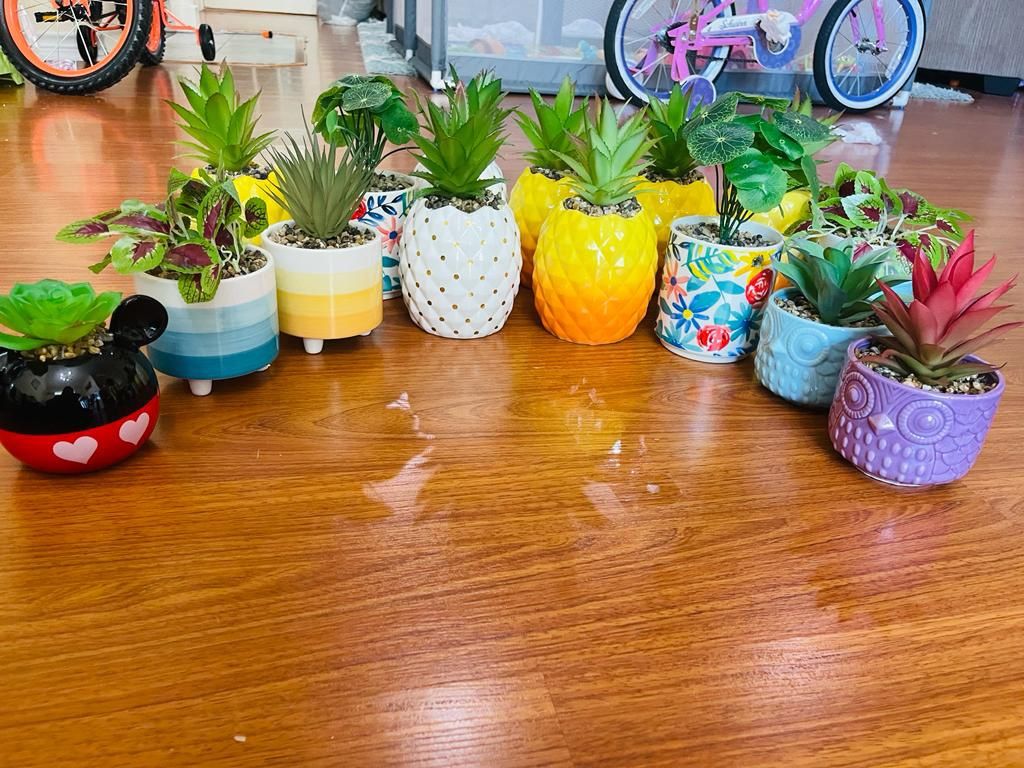 Brand New Artificial Succulents