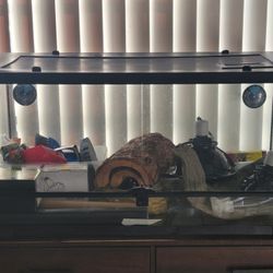 Reptile Tank 